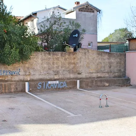 Petar * Pola